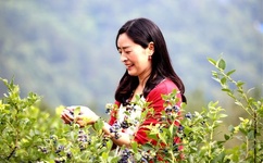 1高清播放器大全